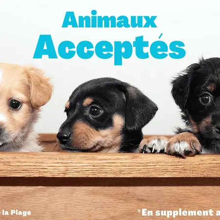 Maison Charmante Proche Pistes Cyclables, Animaux Admis - Fr-1-323-567 Ferienhaus Saint-Jean-de-Monts